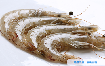 海蝦怎么保存？活海蝦怎么保存？