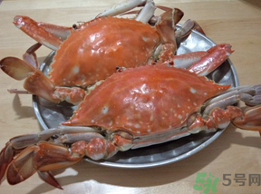 海蟹蒸多長(zhǎng)時(shí)間？海蟹蒸多長(zhǎng)時(shí)間最好吃？