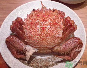 紅毛蟹怎么吃？紅毛蟹怎么做好吃？
