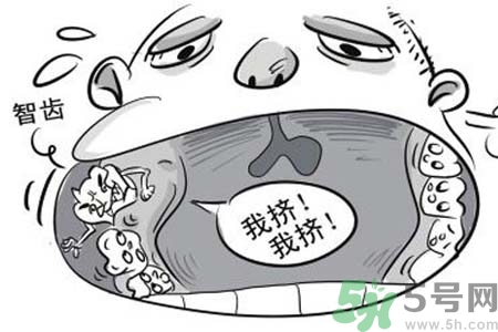 智齒拔了好不好？智齒能不拔嗎？