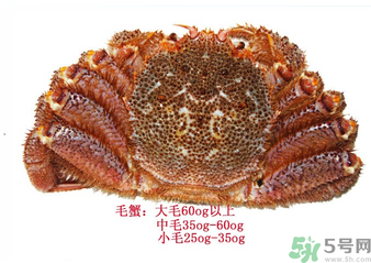 毛蟹蒸多長時間？毛蟹蒸多久會熟？