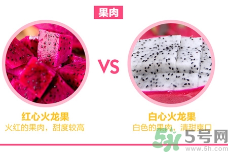 ?火龍果紅心好還是白心好？紅心火龍果和白心火龍果的區(qū)別