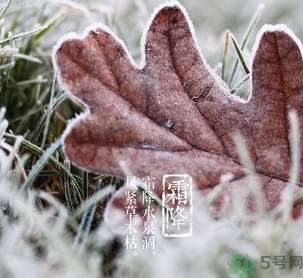 霜降出生的孩子好嗎？霜降出生的寶寶怎么取名？