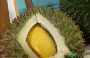 榴蓮吃多了會(huì)怎么樣？榴蓮吃多了好嗎？