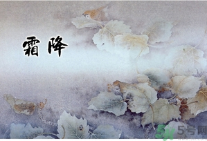 霜降為什么要吃柿子？霜降吃柿子有什么好處？