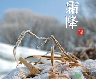 霜降為什么要吃柿子？霜降吃柿子有什么好處？
