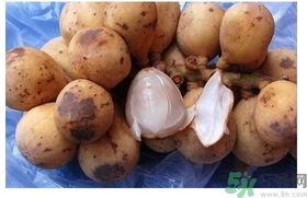 椰色果的功效作用 椰色果怎么吃？
