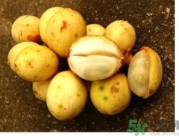 椰色果的功效作用 椰色果怎么吃？