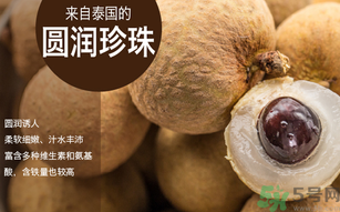 泰國龍眼和普通龍眼什么區(qū)別？泰國龍眼和普通龍眼哪個好？