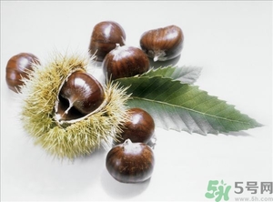 老人能喝板栗酒嗎？板栗怎么泡酒呢？
