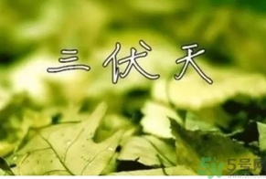 三伏天可以理發(fā)嗎？三伏天為什么不能理發(fā)？