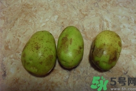 土豆發(fā)綠還能吃嗎？土豆發(fā)綠皮削皮后能吃嗎？