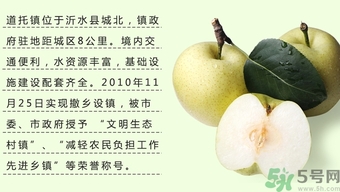 牛心果怎么吃？牛心果的功效和作用