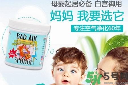 美國bad air sponge空氣凈化劑多少錢？