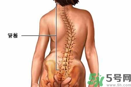 僵直性脊椎炎的癥狀有哪些？怎樣預(yù)防僵直性脊椎炎？