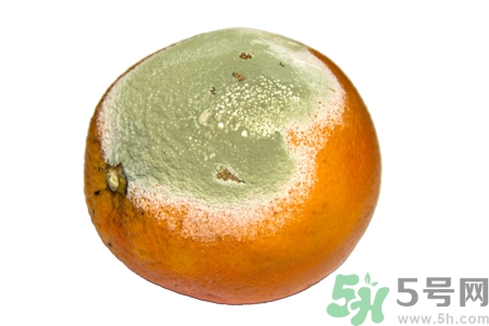 水果發(fā)霉了可以吃嗎？發(fā)霉的水果對(duì)人體有什么危害？