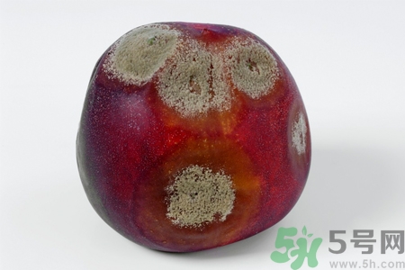 水果發(fā)霉了可以吃嗎？發(fā)霉的水果對(duì)人體有什么危害？