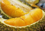 小孩能吃榴蓮嗎？榴蓮小孩能吃嗎？