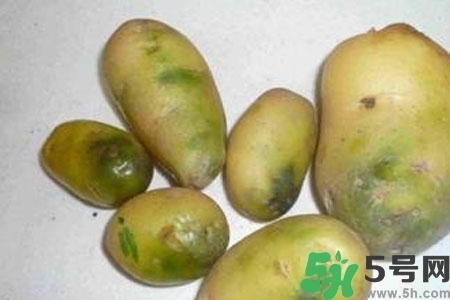 土豆發(fā)綠還能吃嗎？土豆發(fā)綠皮削皮后能吃嗎？