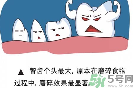 智齒拔完后有個洞怎么辦？拔智齒后有個洞多久能長好？