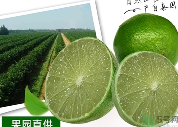 泰國檸檬怎么吃？泰國檸檬的功效作用