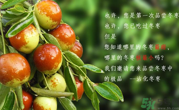 晚上吃棗子會胖嗎？晚上吃新鮮棗子會胖嗎？