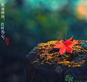 秋分做什么運(yùn)動(dòng)好？秋分運(yùn)動(dòng)注意事項(xiàng)