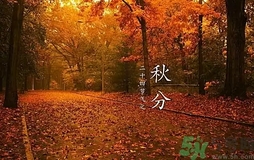 秋分做什么運(yùn)動(dòng)好？秋分運(yùn)動(dòng)注意事項(xiàng)