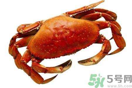 10月份吃螃蟹好嗎？10月份吃什么螃蟹？