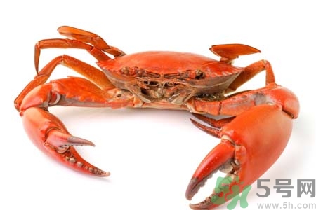10月吃陽澄湖大閘蟹好嗎？大閘蟹怎么做好吃？