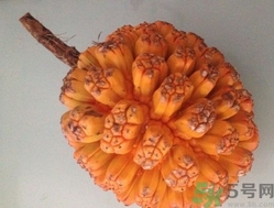 山菠蘿怎么吃？山菠蘿的功效與作用