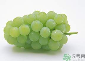 新鮮葡萄能放冰箱嗎？新鮮葡萄的保存方法