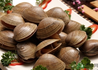蜆子煮多長時間？蜆子怎么煮？