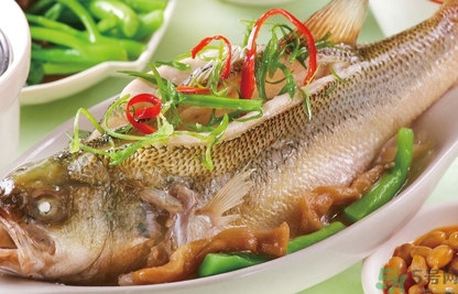 鱸魚是發(fā)物嗎？手術(shù)后可以吃鱸魚嗎？