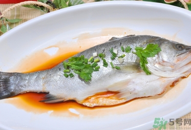 鱸魚是發(fā)物嗎？手術(shù)后可以吃鱸魚嗎？