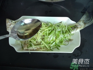 鱸魚蒸多長時間？鱸魚怎么蒸？