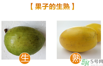 蛋黃果多少錢一斤？蛋黃果什么時(shí)候成熟？