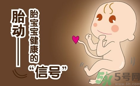 胎動怎么數(shù)最正確？胎動有什么規(guī)律？