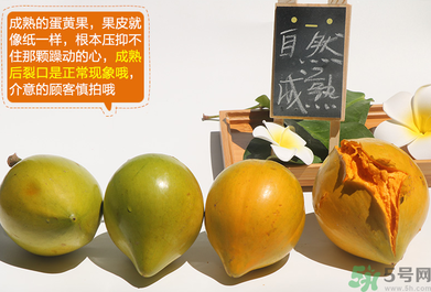 蛋黃果怎么催熟？生的蛋黃果如何催熟？
