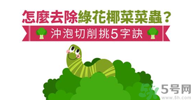 西蘭花里有蟲子怎么辦？花椰菜里面好多蟲怎么辦？