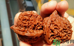 核桃長(zhǎng)蟲了還能吃嗎？核桃長(zhǎng)蟲子怎么處理？
