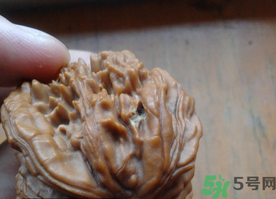 核桃長(zhǎng)蟲了還能吃嗎？核桃長(zhǎng)蟲子怎么處理？