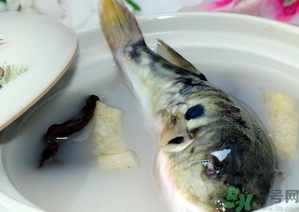 秋天喝什么魚(yú)湯好?秋天喝魚(yú)湯有什么好處?