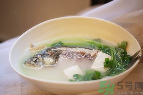 秋天喝什么魚(yú)湯好?秋天喝魚(yú)湯有什么好處?