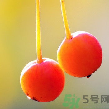 海棠果孕婦能吃嗎？海棠果的功效與作用