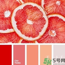 西柚色口紅的牌子哪款好？西柚色口紅有哪些牌子