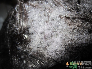 淳萃水舞櫻花洗發(fā)水好用嗎？淳萃水舞櫻花洗發(fā)水多少錢？