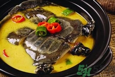 甲魚(yú)怎么吃最有營(yíng)養(yǎng)？甲魚(yú)怎么吃最補(bǔ)身體？