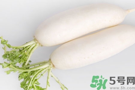 怎么挑白蘿卜好不好？挑選白蘿卜的小竅門