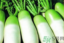 為什么冬吃蘿卜夏吃姜？冬天吃白蘿卜有什么好處？